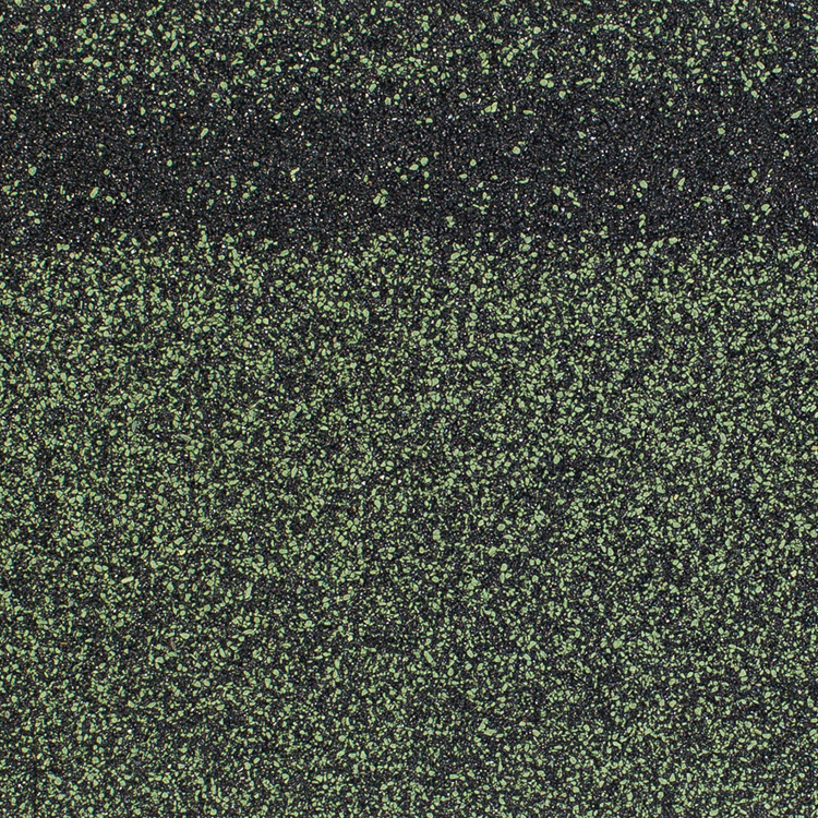Коньки SHINGLAS