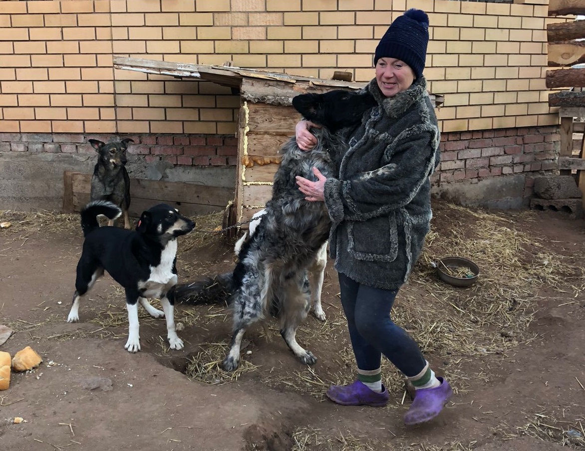 Krovelson поможет ещё одному приюту для животных Krovelson поможет ещё одному приюту для животных