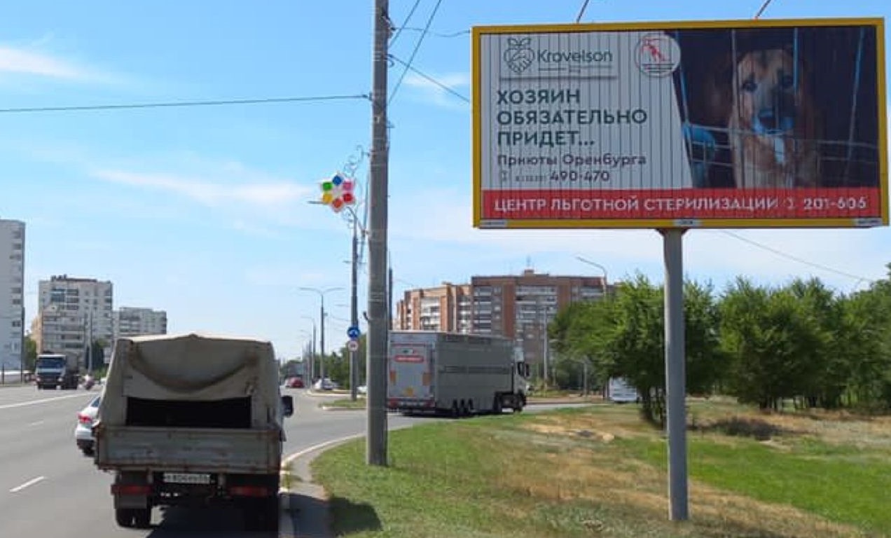Социальная реклама о животных