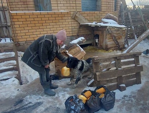 Помогаем "Лохматому Дому"
