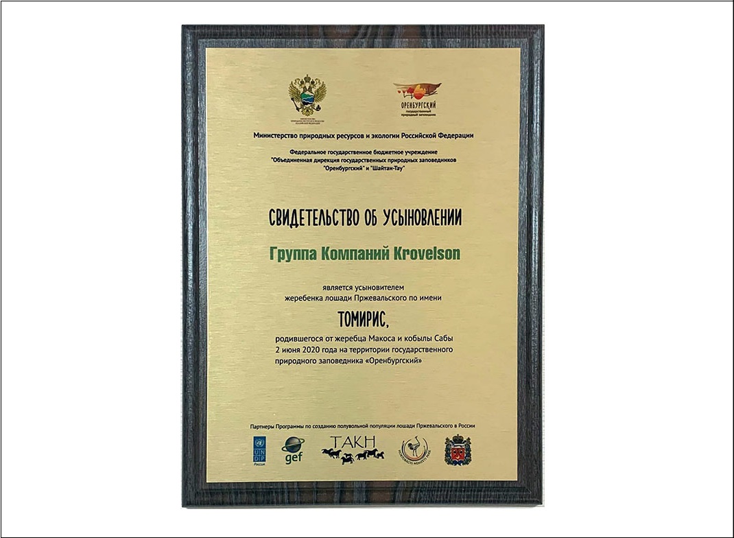 Krovelson усыновил жеребенка