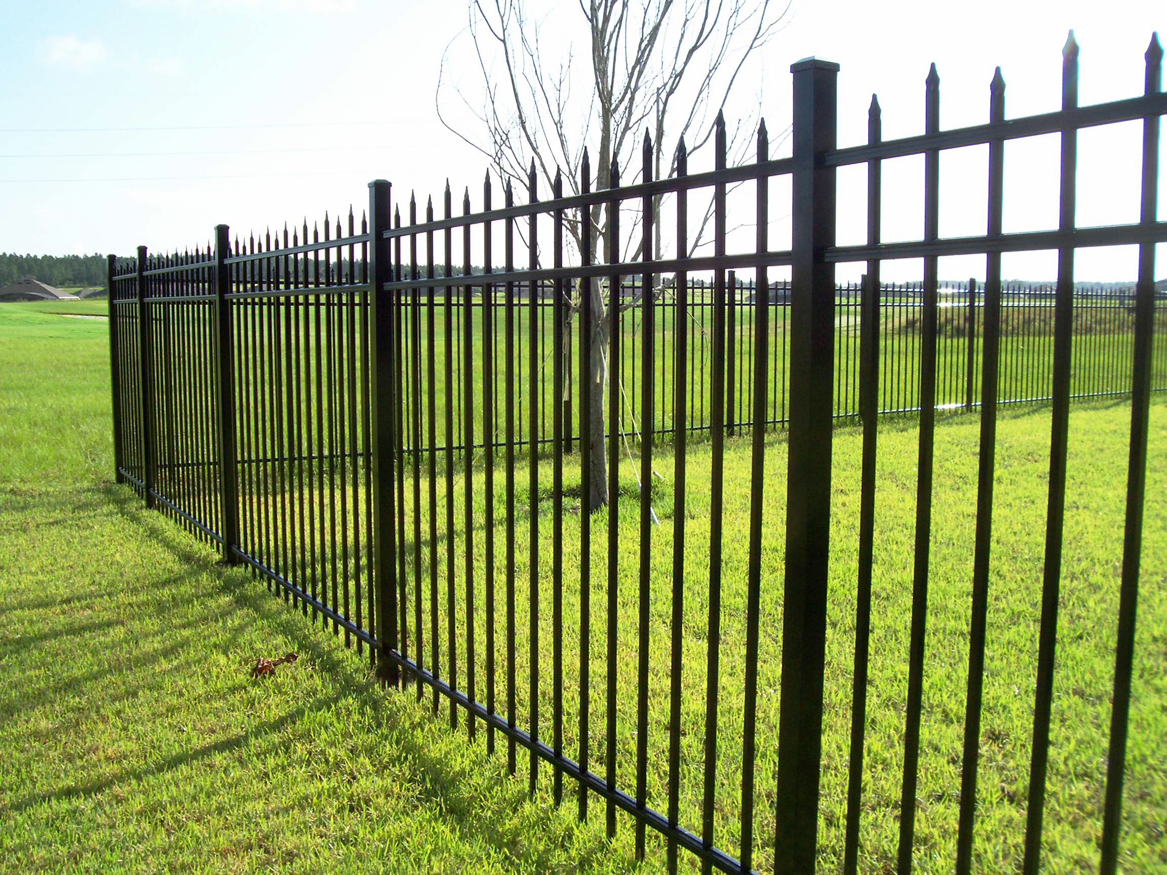 232916-fence.jpg