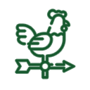 8 флюгеры.png
